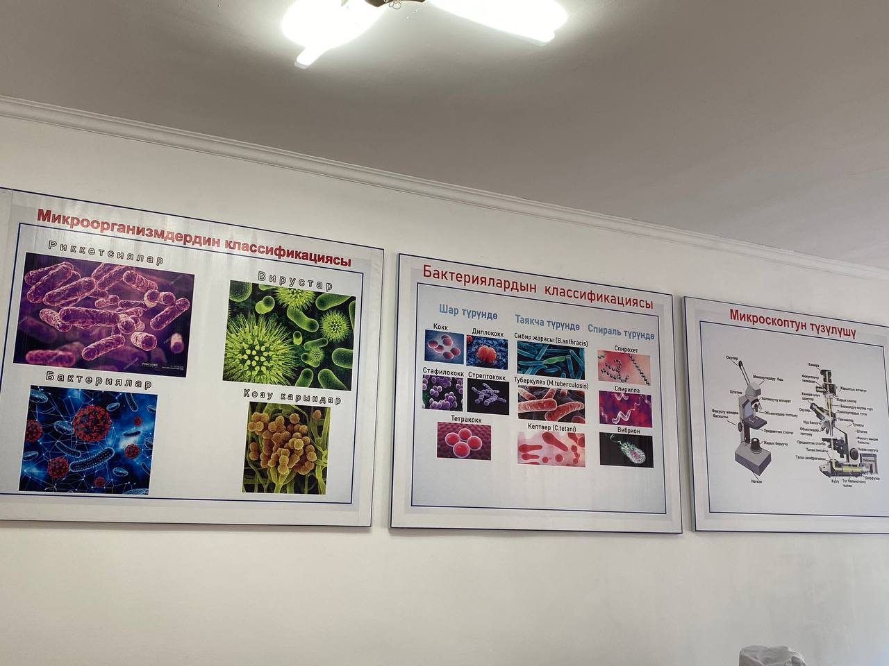 62c4e907-b5c0-4113-b49f-0ea0335fe9ee