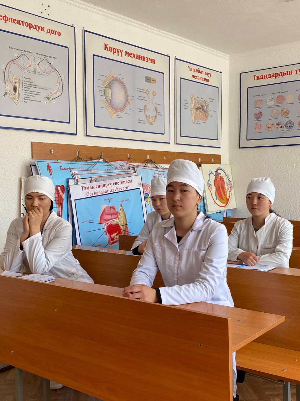 7f3a4470-5d54-4a56-8875-476cd4b09644