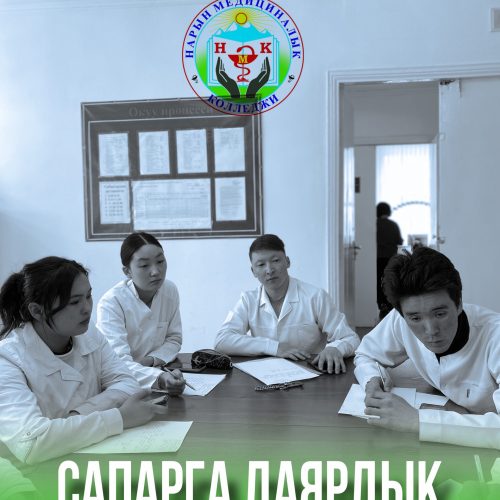 СТУДЕНТТЕРДИ АЛМАШЫП ОКУТУУ-АЛГЫЛЫКТУУ ТАЖРЫЙБА 