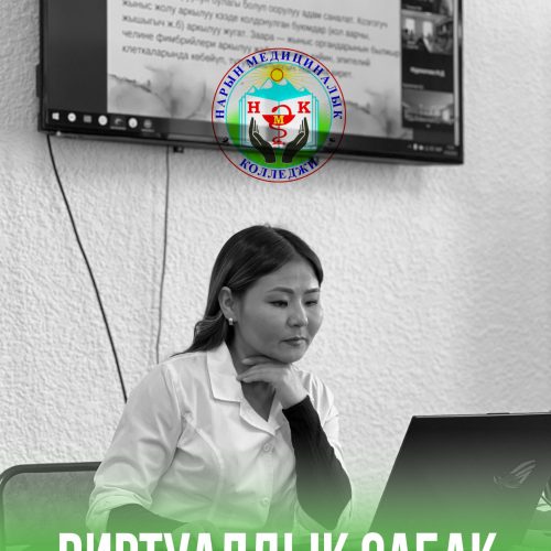 ВИРТУАЛДЫК-АКАДЕМИЯЛЫК МОБИЛДҮҮЛҮКТҮ ӨНҮКТҮРҮҮ