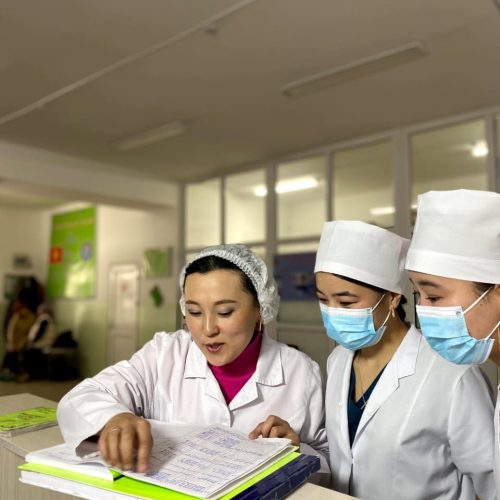 МЭЭДЕГИ КАН АЙЛАНУУНУН КУРЧ БУЗУЛУШУ, ИНСУЛЬТ” /БЕЙТАПТАРДЫ БАГЫП КАРОО